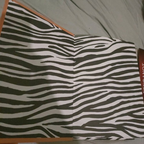 Julius Zebra Troubles With The Romans like new