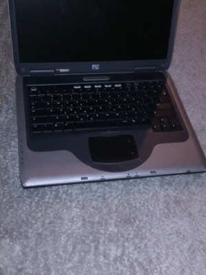 acer