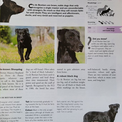Royal Canin dog encyclopedia used, English