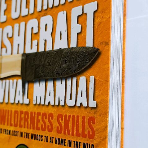 Survival guide Best Seller by Tim MacWelch new, English