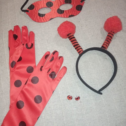 Ladybug costume set new with mask, gloves, earrings, headband