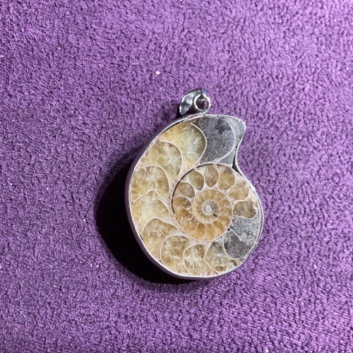 Ammonite pendant new