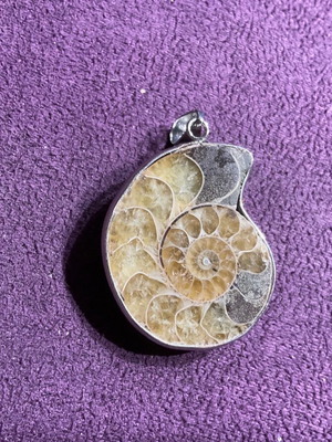 Ammonite pendant new