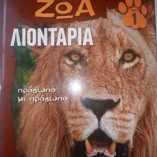 Wild Animals Lions new book 38 pages