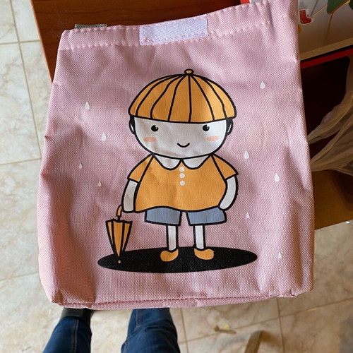 Insulated lunch bag new