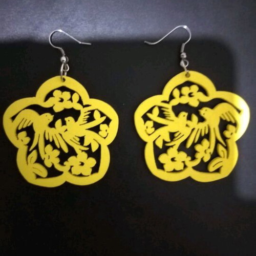 Earrings new