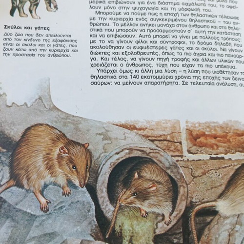 The World of Animals prehistoric mammals & monkeys like new