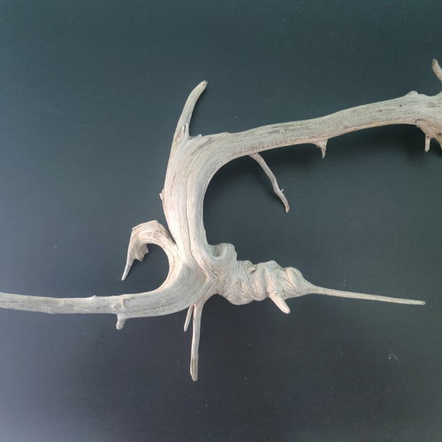 Driftwood "Pinocchio" for aquarium, new