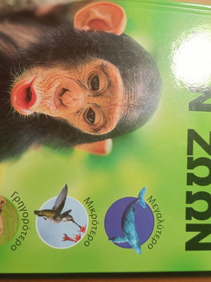 The First Education of Animals children's book new, with pictures