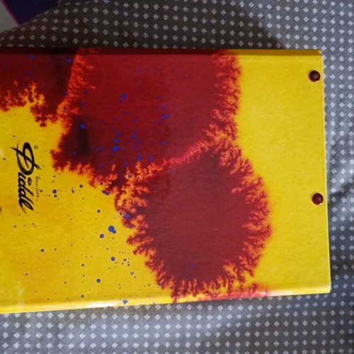 Diddl album like new, school organizer with hard cover