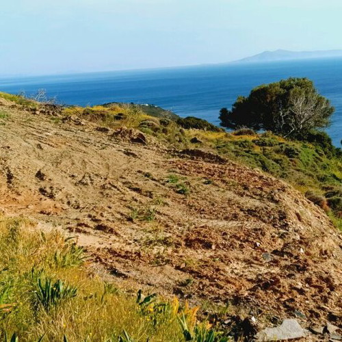 Andros Land Plots 4 Stremmata with Spring and View, Buildable