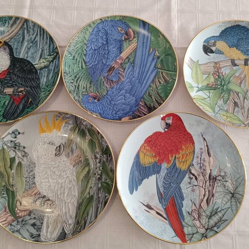 Collectible plates used, set of 5, tropical parrots, Kaiser W. Germany