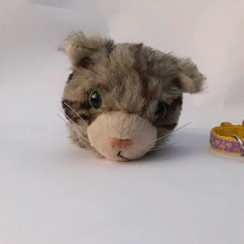 Stuffed cat used, small