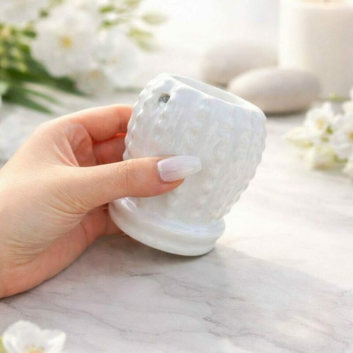 Ceramic wax melt burner cactus shape new
