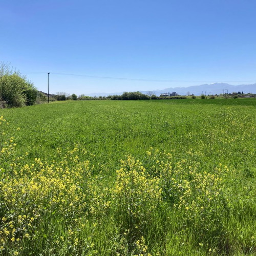 Agricultural land 4,385 sqm buildable with view of Theopetra and Meteora