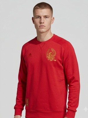 Arsenal 19/20 Chinese New Year Top used, size S