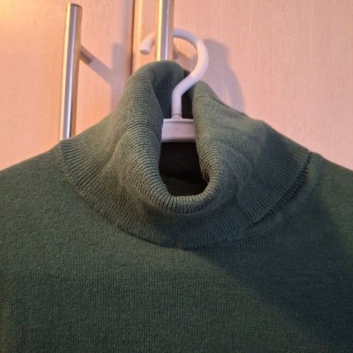 Funky Buddha green cypress turtleneck like new
