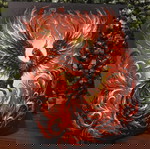  Phoenix Hueforge