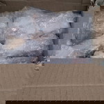  ειδικό κουτί προβολής πλεξιγκλας