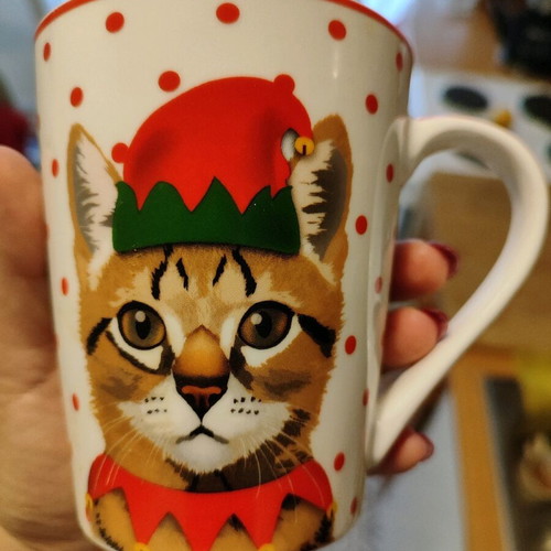 Porcelain polka dot mug Christopher Vine with cat used