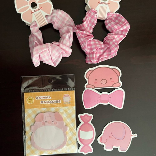 Piggy gift set new with accessories and stationery