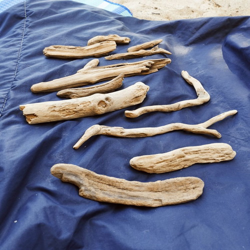 Driftwood pieces for decoration and crafts