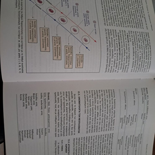 Modern Oral and Maxillofacial Pathology book, like new