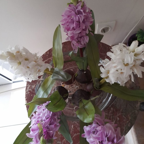 Decorative hyacinths used, pack of 5, 3 pink and 2 white