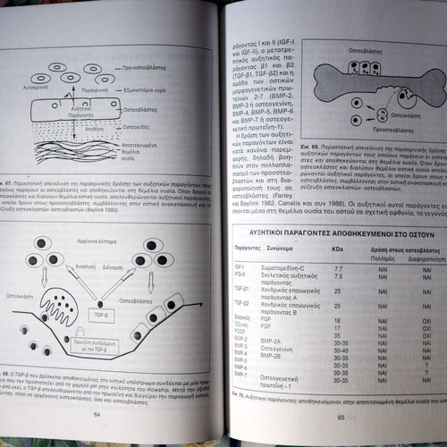 Osteoporosis book like new