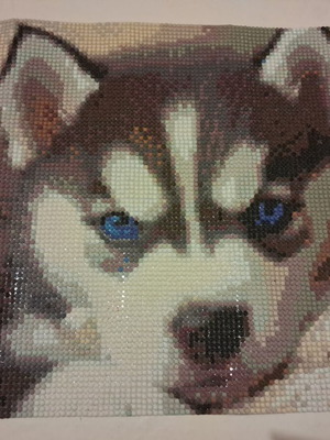 Diamond Art Husky Dog Picture 25x25cm