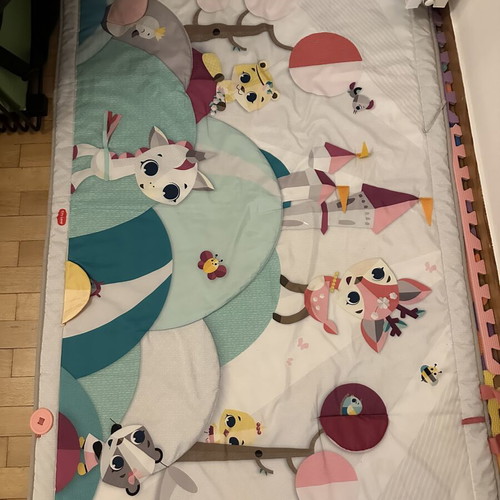 Tiny Love Super Mat Activity Mat