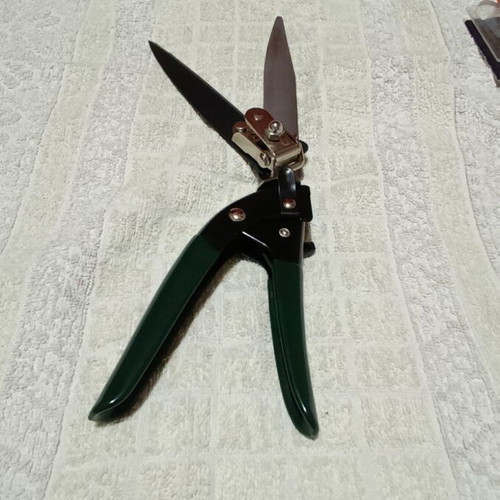Chloe Border Rose Pruning Shears 34cm New