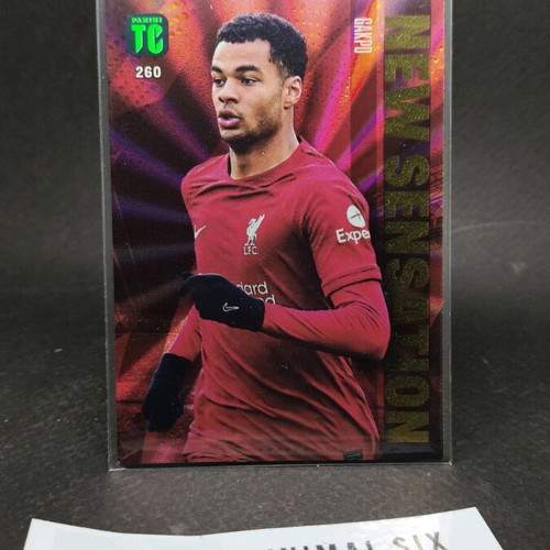 Gakpo New Sensation collectible card like new, Panini Top Class