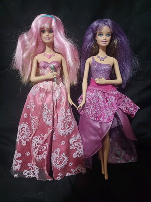 Barbie Princess & the Popstar used, without accessories