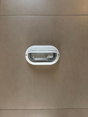 Bulkhead outdoor turtle light white unused