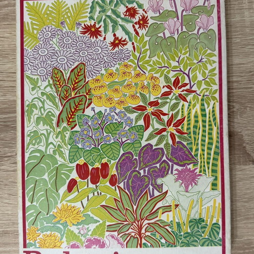 Plants of Indoor Spaces and Their Care by Mario Giufolini used