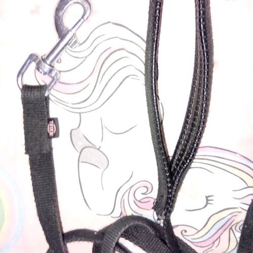 Very long used leash