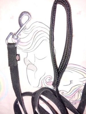 Very long used leash