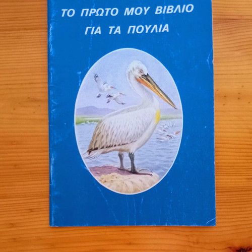 The First Book About Birds like new, children's educational book