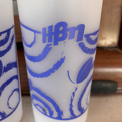 Vintage Ivi Collectible Glasses Set of 2 Frosted