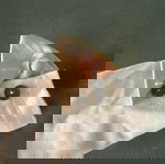  Γυναικείο σακάκι Forte_forte