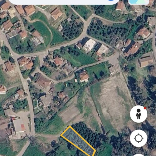 Land plots with productive olive trees near Pyrgos Ilia