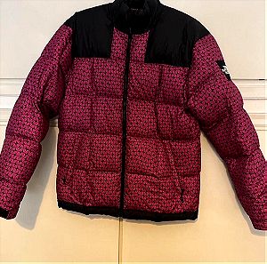 The North Face puffer 700