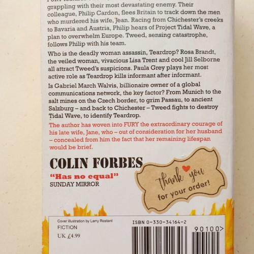 Fury Colin Forbes book used, English thriller