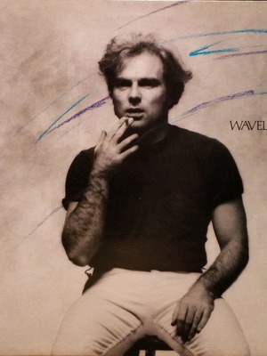 Van Morrison Wavelength vinyl LP used, pop rock album