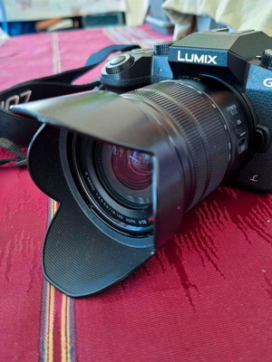 Panasonic Lumix DMC-G70 + 14-140mm