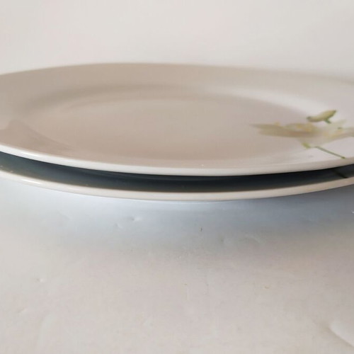 Shallow serving plates used, set of 2 with gift smaller shallow 19cm