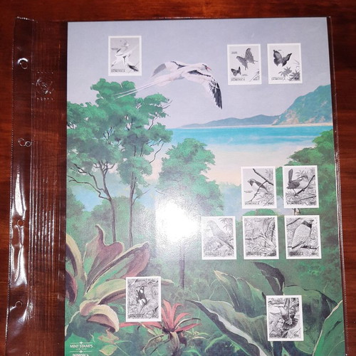Philatelic card Dominica rain forest new with unmounted stamps