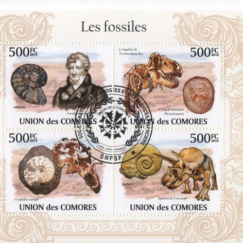 Fossils Minisheet 2010 Comores mint condition stamp
