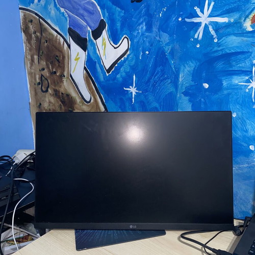 LG monitor